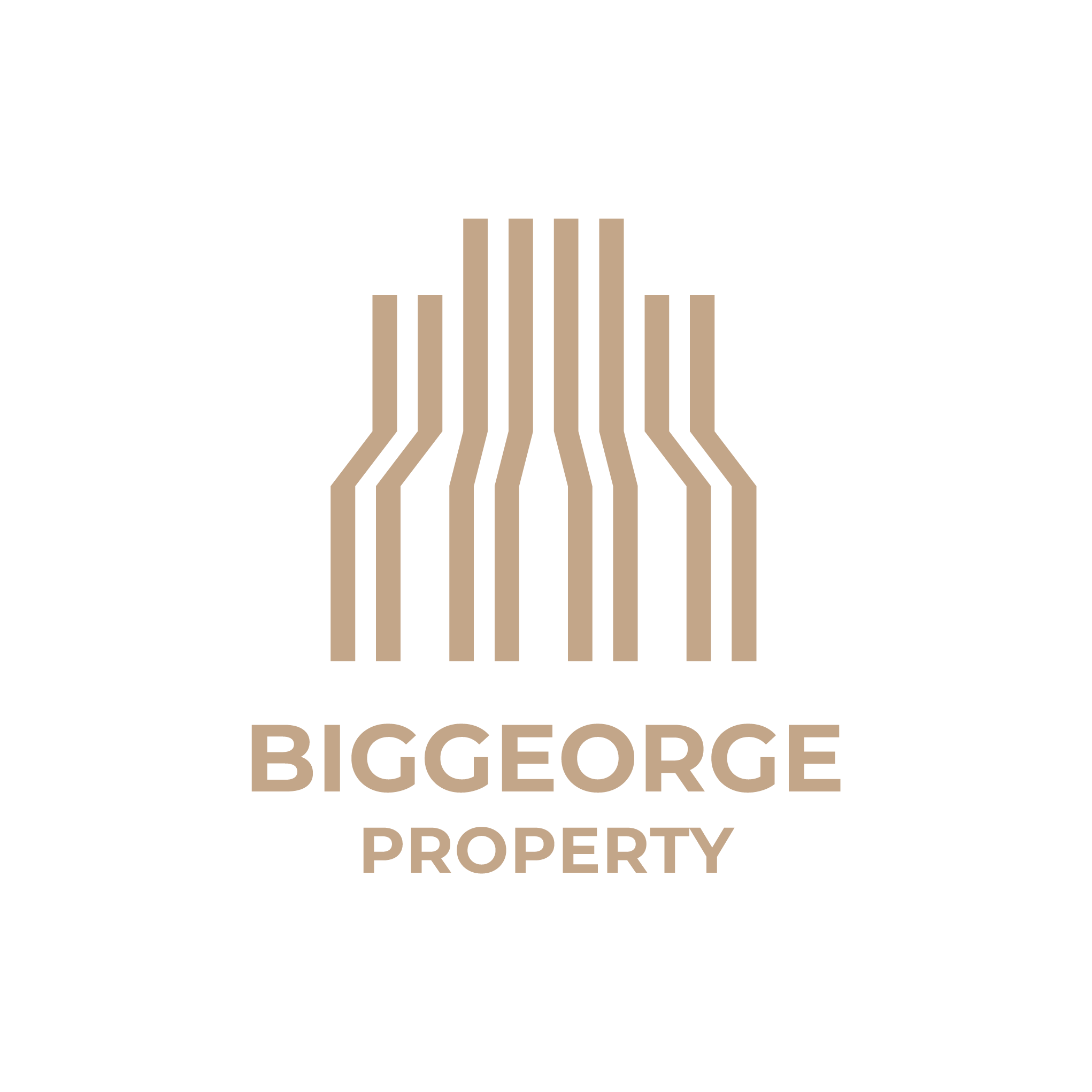 Biggeorge Property